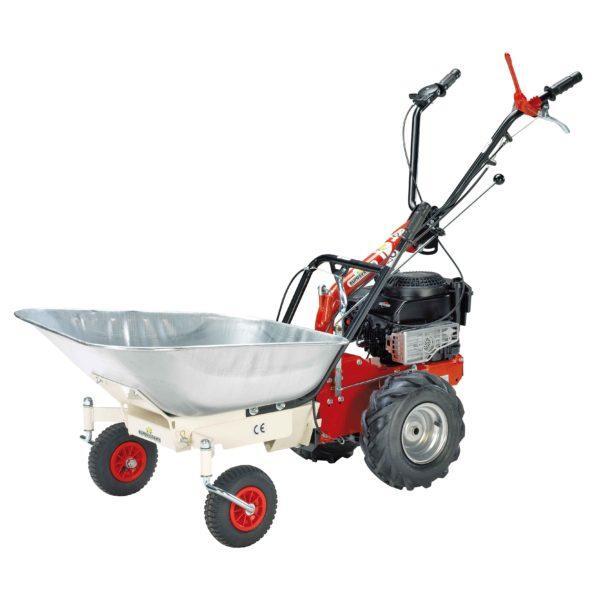 P55VASCA 001